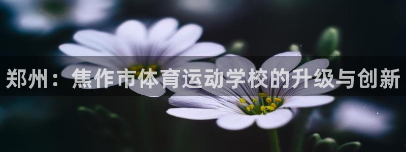 米兰体育官方正版app代理:郑州:焦作市体育运动学校的升级与