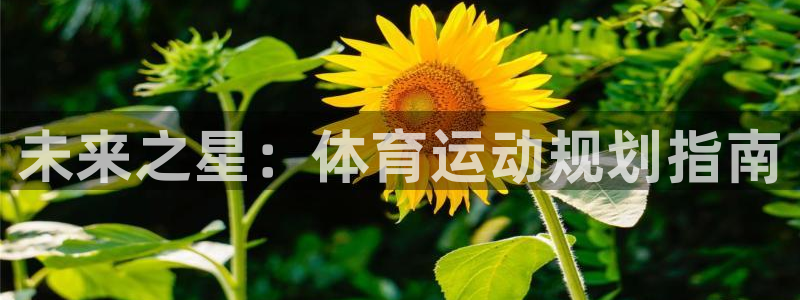 米兰体育官网下载招商电话地址查询:未来之星:体育运动规划指南